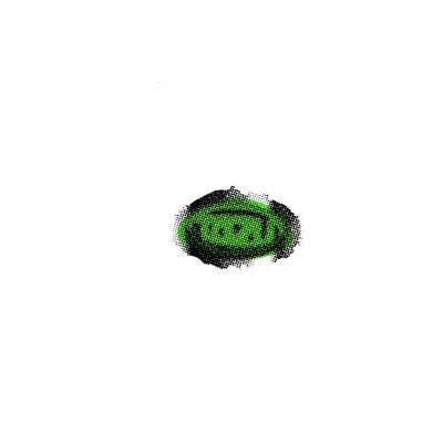 DA GA