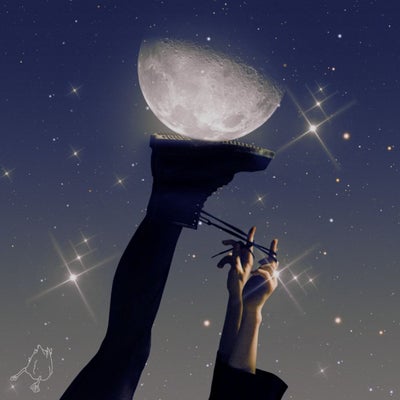 Do My Own Stunts Remixed