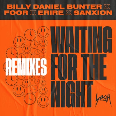 Waiting For The Night (Remixes)