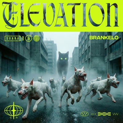 Elevation EP