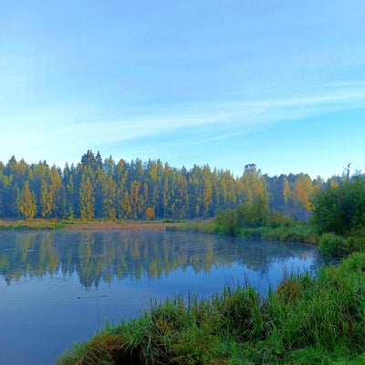 Quiet Pond