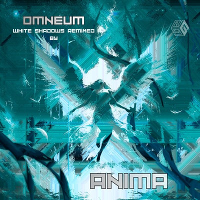 White Shadows (ANIMA Remix)