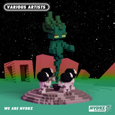 We Are NVDRZ