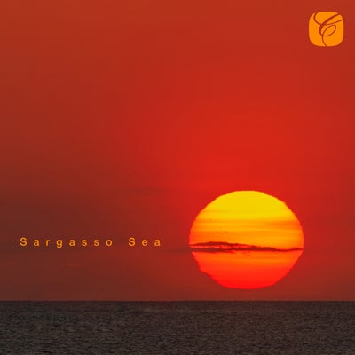 Sargasso Sea