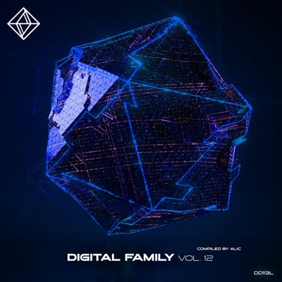 Digital Family, Vol. 12