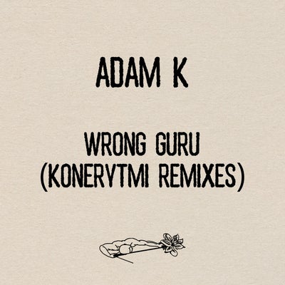 Wrong Guru (Konerytmi Remixes)