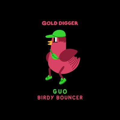 Birdy Bouncer