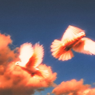 Platonic Romance (Azzecca Remix)