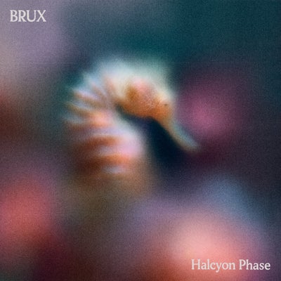 Halcyon Phase