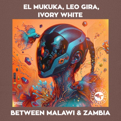 Between Malawi & Zambia