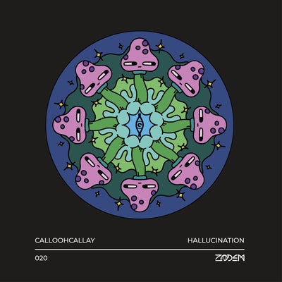 Hallucination