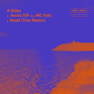 Arctic VIP ft. MC Fats / Need (Trex Remix)