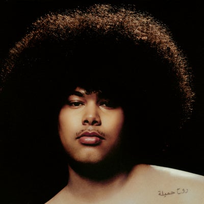 Dangerous Lover