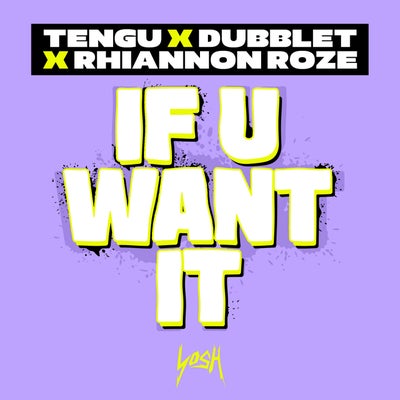If U Want It (Extended Mix)