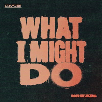 What I Might Do (Extended Mix)