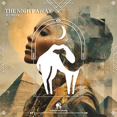 The Night Away