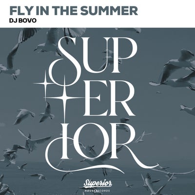 Fly in the Summer