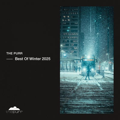 Winter Best Of 2025