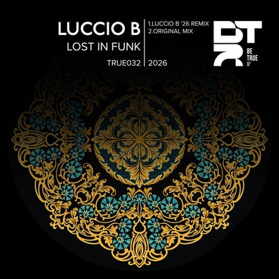Lost in Funk