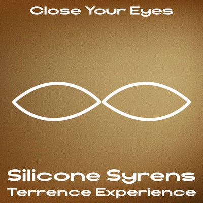 Terrence Experience