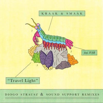 Travel Light (Diogo Strausz & Sound Support Remixes)