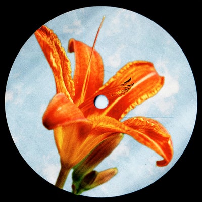 This Fire (Extended Mix)