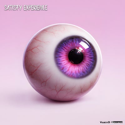 Satisfy Experience