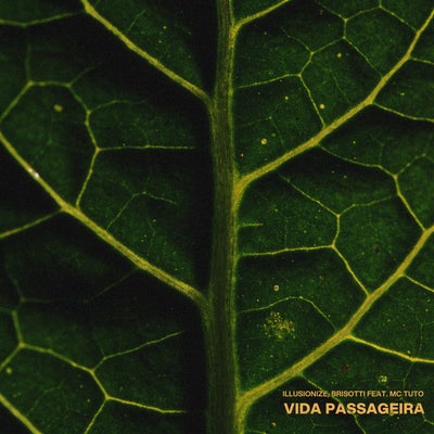 Vida Passageira
