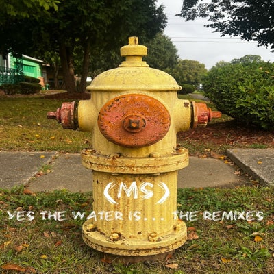 Yes the water is... (The Remixes)