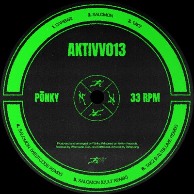 AKTIVV 013