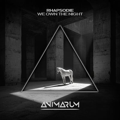 We Own the Night (Extended Mix)