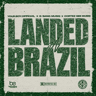 Landed In Brazil