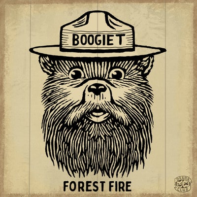 Forest Fire