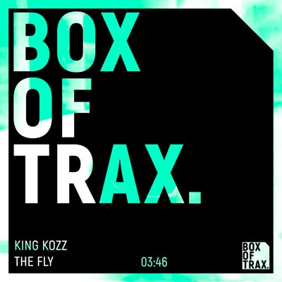 The Fly