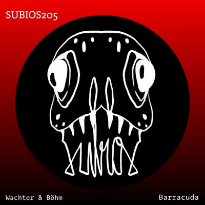 Barracuda