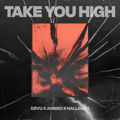 Take You High (Extended Mix)