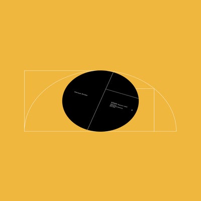 Transient I