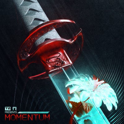 Momentum