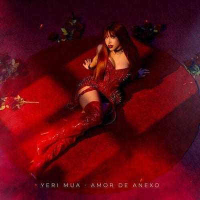 Amor de Anexo