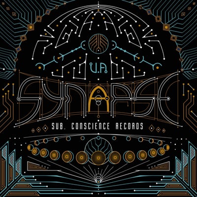 Synapses