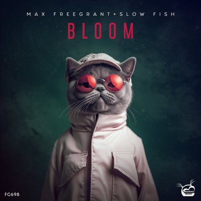 Bloom