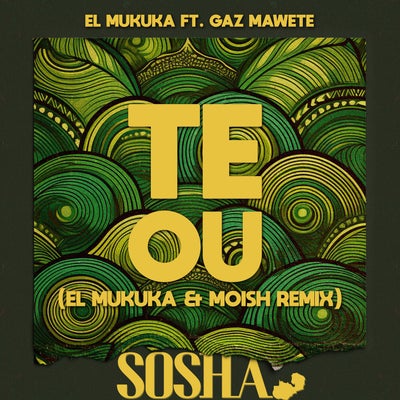 Te Ou (El Mukuka & Moish Extended Remix)