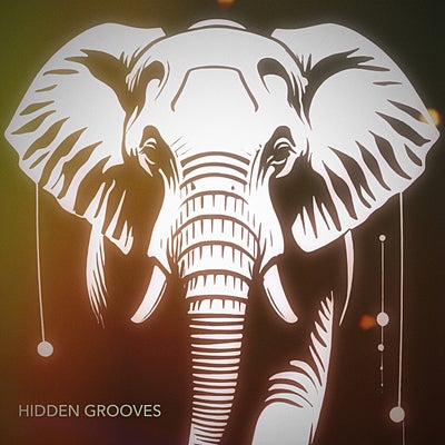 Hidden Grooves