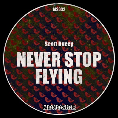 Never Stop Flying