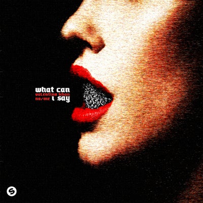 What Can I Say (Extended Mix)