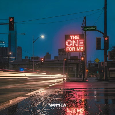 The One For Me (Extended Mix)