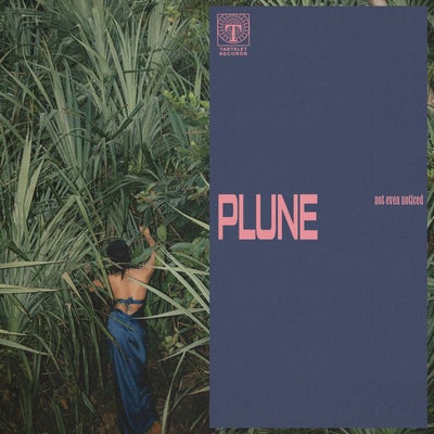plune