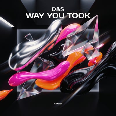 Way You Took
