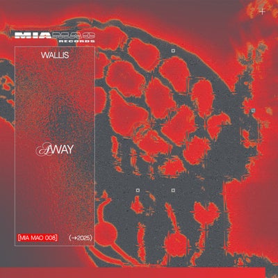 [MIA MAO 008] - AWAY