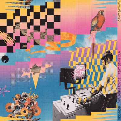 Can't Say Nah